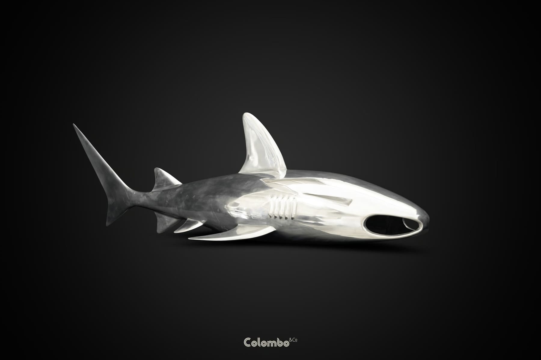 Shark Nose /7 gallery image 4