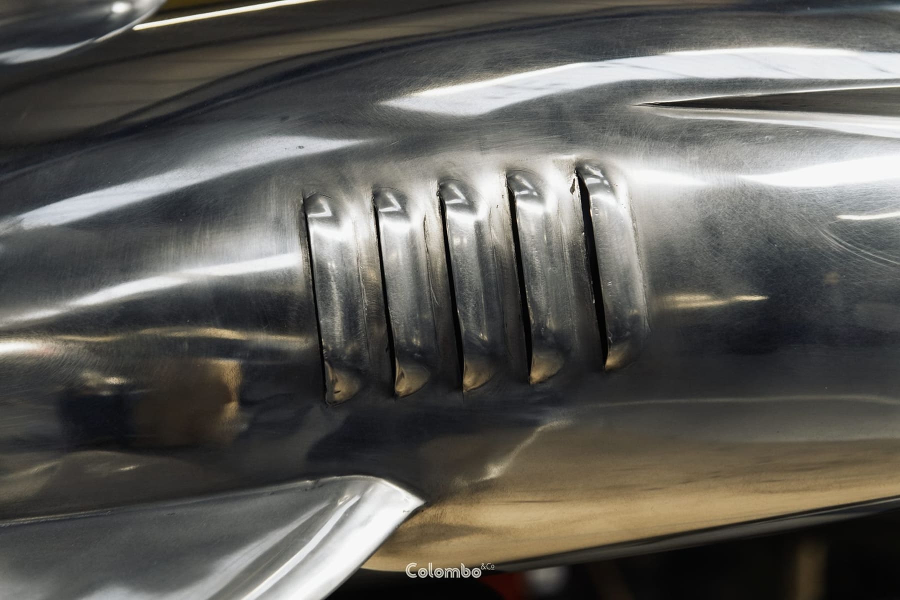 Shark Nose /7 gallery image 8