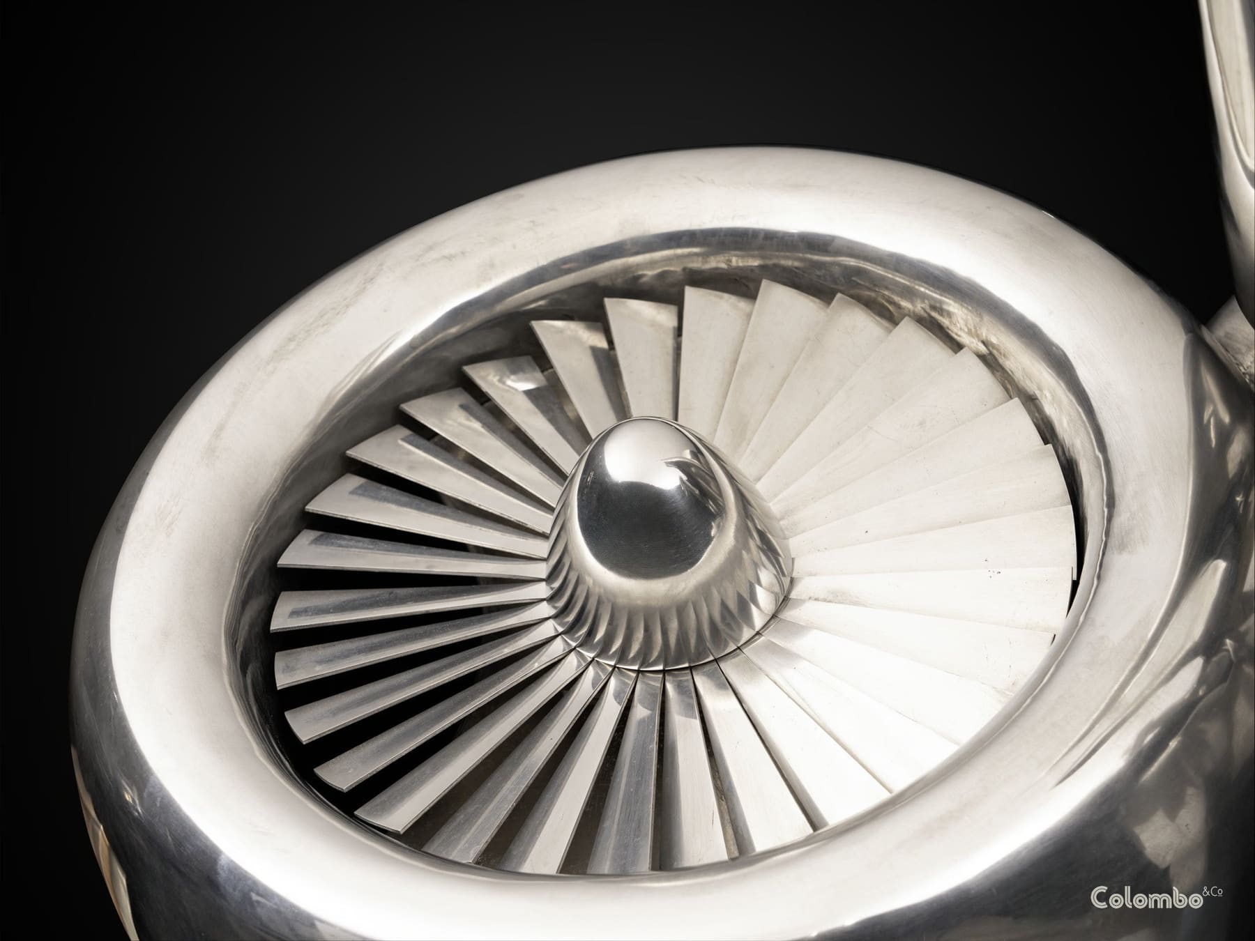 The Hare and The Tortoise /1 gallery image 8