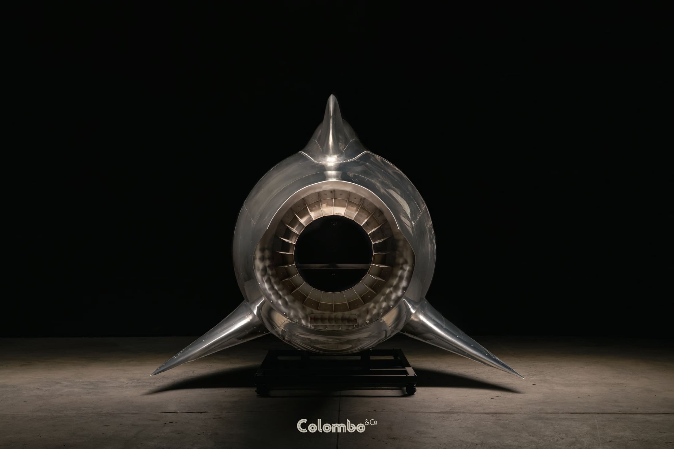 Turbo Dolphin /1 by Toby Southan