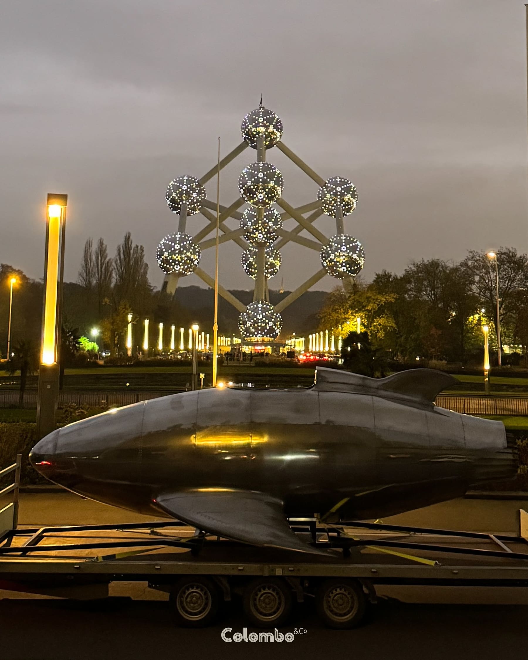 Turbo Dolphin /1 gallery image 6